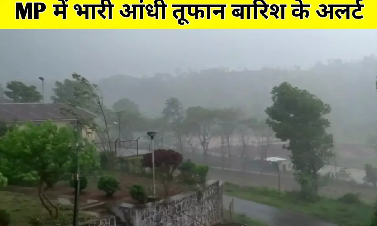 MP Weather: मध्य प्रदेश में तूफान की दस्तक से हिल जायेंगे रीवा, सीधी ,मऊगंज, सतना सहित यह जिले जारी हुई चेतावनी MP Weather: मध्य प्रदेश में तूफान की दस्तक से हिल जायेंगे रीवा, सीधी ,मऊगंज, सतना सहित यह जिले जारी हुई चेतावनी