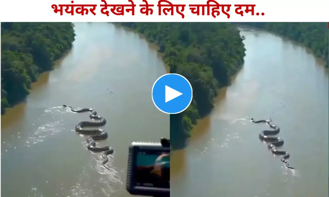सोशल मीडिया पर हैरान कर देने वाला वीडियो, नदी में दिखा ऐसा विशालकाय एनाकोंडा रोंगटे हो जायेंगे खड़े सोशल मीडिया पर हैरान कर देने वाला वीडियो, नदी में दिखा ऐसा विशालकाय एनाकोंडा रोंगटे हो जायेंगे खड़े