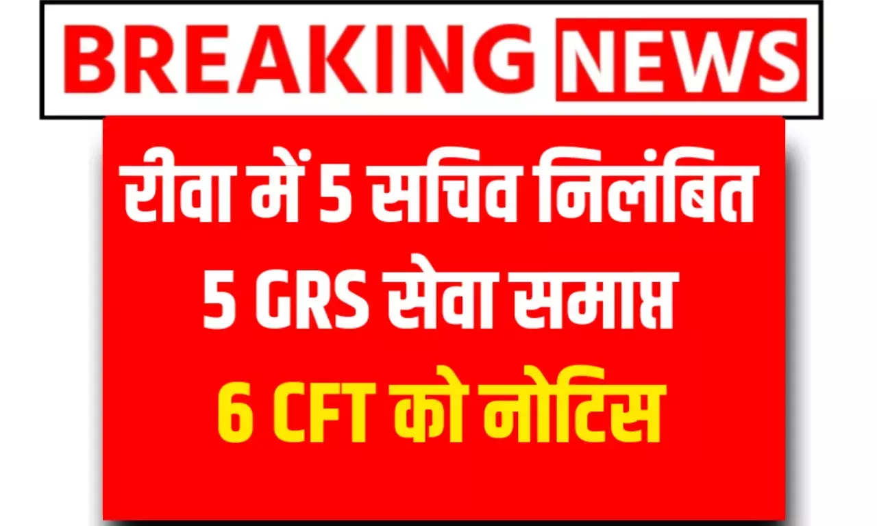 Rewa News: मुख्य कार्यपालन अधिकारी रीवा के द्वारा 5 सचिवों को किया गया सस्पेंड, पांच GRS की सेवा समाप्त Rewa News: मुख्य कार्यपालन अधिकारी रीवा के द्वारा 5 सचिवों को किया गया सस्पेंड, पांच GRS की सेवा समाप्त