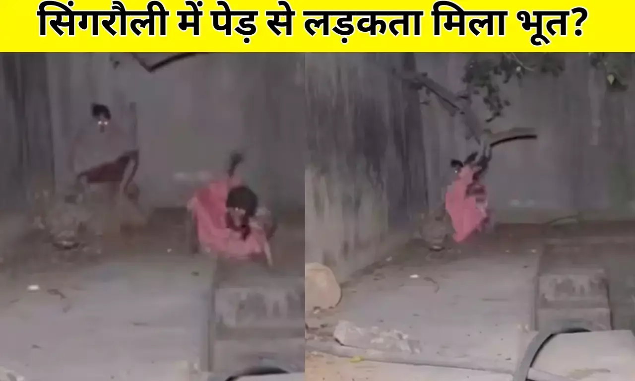 सिंगरौली में दिख गया कुछ ऐसा खड़े हो जाएंगे रोंगटे, कैमरामेन करता रहा रिकॉर्ड फिर जो हुआ दहल जायेगा... सिंगरौली में दिख गया कुछ ऐसा खड़े हो जाएंगे रोंगटे, कैमरामेन करता रहा रिकॉर्ड फिर जो हुआ दहल जायेगा...