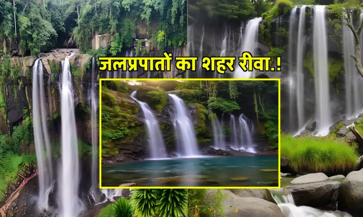 गर्मियों की छुट्टियों में प्रकृति की गोद में: चलिए चलते हैं रीवा के पूर्वा वॉटरफॉल गर्मियों की छुट्टियों में प्रकृति की गोद में: चलिए चलते हैं रीवा के पूर्वा वॉटरफॉल