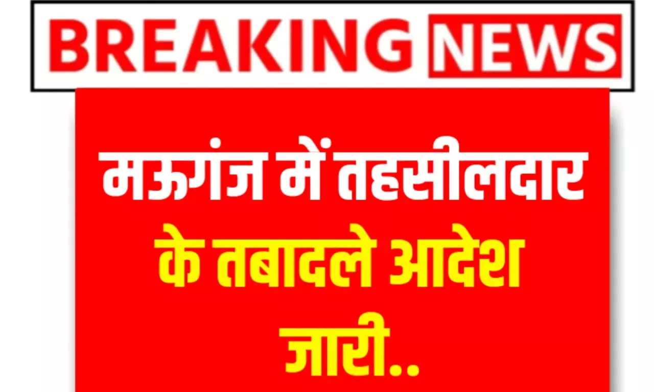Mauganj News: मऊगंज में दो तहसीलदारों का स्थानांतरण, आदेश हुआ जारी देखे लिस्ट Mauganj News: मऊगंज में दो तहसीलदारों का स्थानांतरण, आदेश हुआ जारी देखे लिस्ट