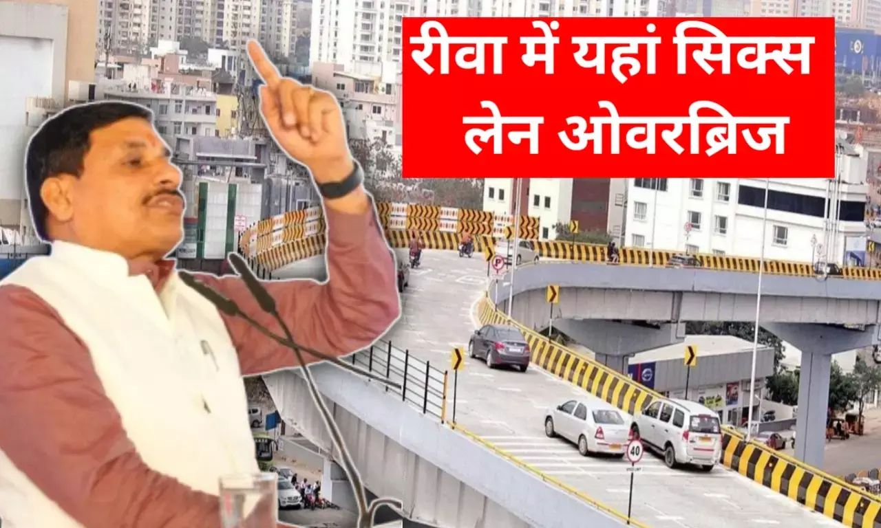 रीवा में यहां कल से शुरू होगा सिक्स लेन ओवरब्रिज, सीएम मोहन यादव देंगे बड़ी सौगात रीवा में यहां कल से शुरू होगा सिक्स लेन ओवरब्रिज, सीएम मोहन यादव देंगे बड़ी सौगात