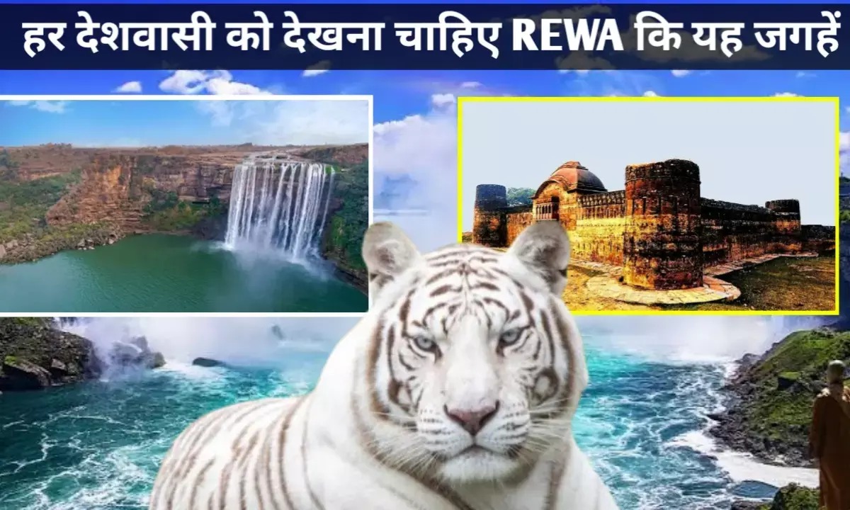 हर भारतीय को एक बार जरूर देखनी चाहिए रीवा की ये 5 अद्भुत और खास जगहें हर भारतीय को एक बार जरूर देखनी चाहिए रीवा की ये 5 अद्भुत और खास जगहें