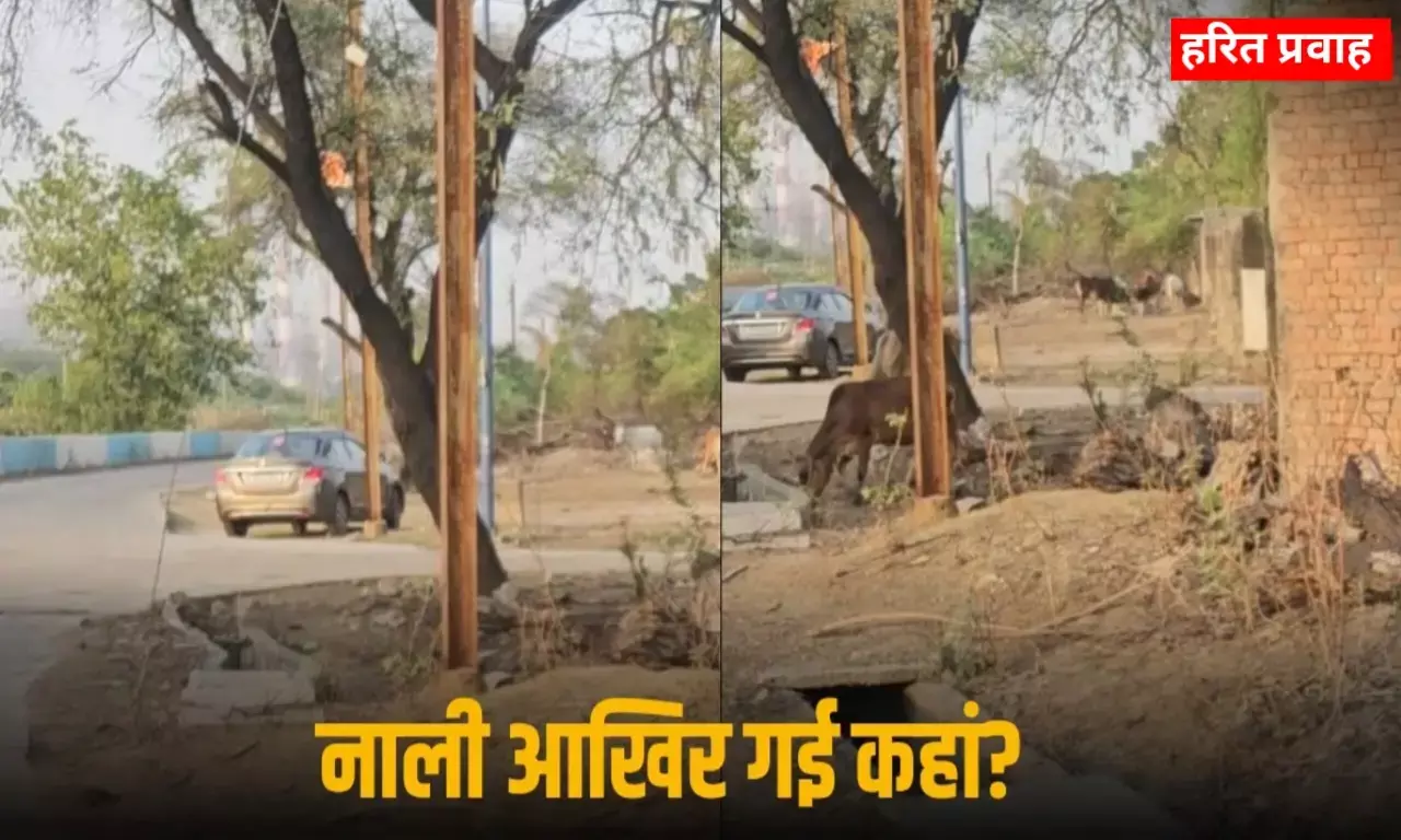 Vindhya News: विंध्य के इस जिले में हुआ अजब - गजब, नगर निगम की नाली हुई चोरी, अब ढूंढ रहे आला अधिकारी Vindhya News: विंध्य के इस जिले में हुआ अजब - गजब, नगर निगम की नाली हुई चोरी, अब ढूंढ रहे आला अधिकारी