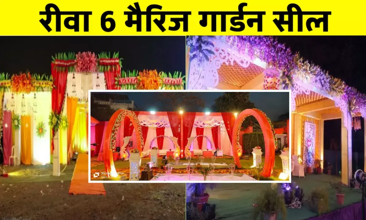 रीवा में अवैध मैरिज गार्डनों पर निगम की बड़ी कार्रवाई, 6 सील, 1 पर चालान रीवा में अवैध मैरिज गार्डनों पर निगम की बड़ी कार्रवाई, 6 सील, 1 पर चालान