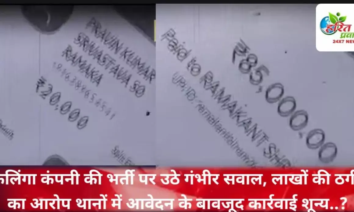 Singrauli विस्थापित युवाओं को जब वे अपने अधिकार के लिए कलिंगा कार्यालय पहुंचते हैं, तो वहां उन्हें कहा जाता है रेफरेंस लेकर आओ। यहां रेफरेंस का सीधा अर्थ क्या पैसा है..? Singrauli विस्थापित युवाओं को जब वे अपने अधिकार के लिए कलिंगा कार्यालय पहुंचते हैं, तो वहां उन्हें कहा जाता है रेफरेंस लेकर आओ। यहां रेफरेंस का सीधा अर्थ क्या पैसा है..?
