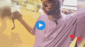 1001689072.gif