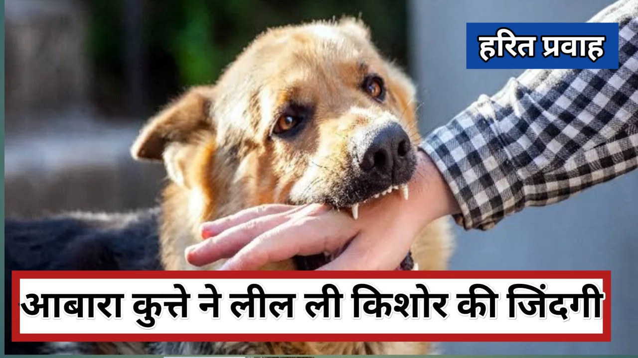 Rewa news: आबारा कुत्ते का कहर लील ली मासूम की जिंदगी 23 दिन बाद मौत 1 20250710 154949