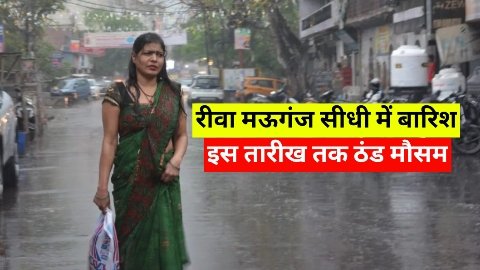 MP weather: 29 जिलों में बारिश पक्की! रीवा-सीधी-मऊगंज में तापमान गिरेगा, जानें कब