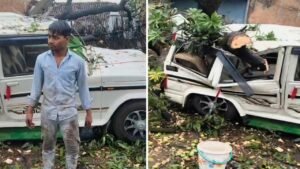Sidhi news; आंधी-बारिश का कहर: सीधी में बोलोरो पर गिरा विशाल आम का पेड़, पलभर में चकनाचूर हुई गाड़ी