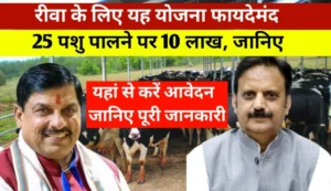 Kamdhenu Scheme; रीवा के युवाओं के लिए सुनहरा मौका! अब गांव में 25 पशु पालने पर सरकार दे रही 10 लाख