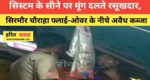 Rewa news; सिस्टम के सीने पर मूंग दलते रसूखदार, क्या सिरमौर चौराहा फ्लाई-ओवर अब ‘अंधेर नगरी’ का नया केंद्र है, दुकान दार गुंडागर्दी पर उतारू