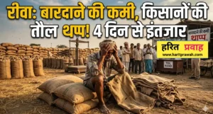 Rewa news; रीवा दावों की खुली पोल, बारदाने के अभाव में अन्नदाता बेहाल