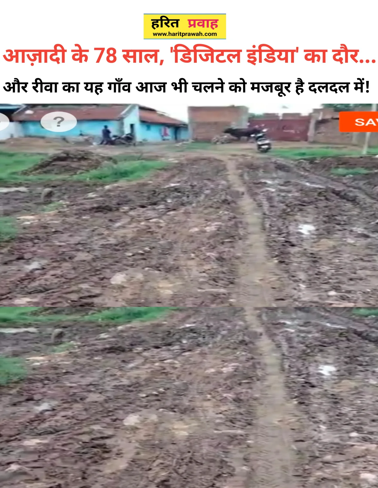 Rewa news; आज़ादी के 78 साल, 'डिजिटल इंडिया' का दौर... और रीवा का यह गाँव आज भी चलने को मजबूर है दलदल में! 2 Rewa news