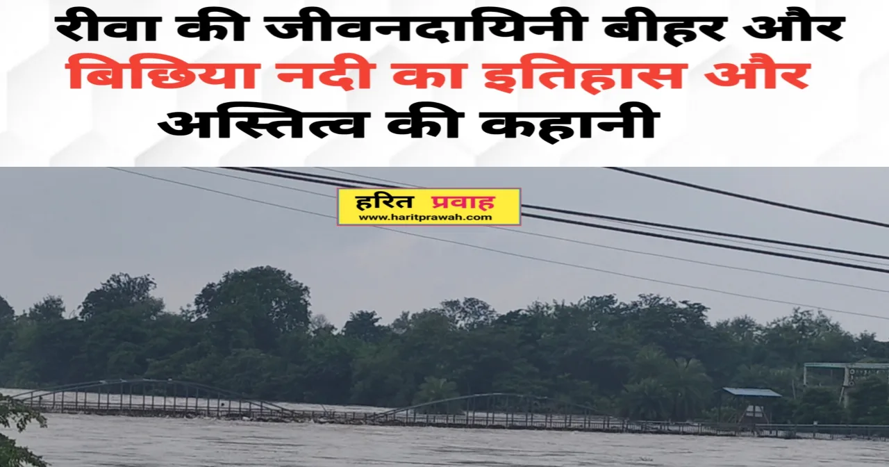 Rewa news; रीवा की जीवनदायिनी: बीहर और बिछिया नदी का इतिहास और अस्तित्व की कहानी 2 Rewa news
